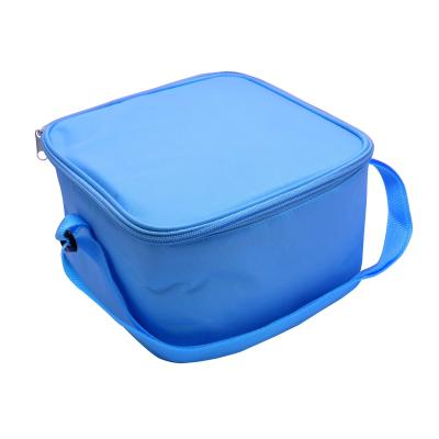 China Frozen Food Insulated Thermal Picnic Bag With Embroidery Logo , Screen Printing for sale