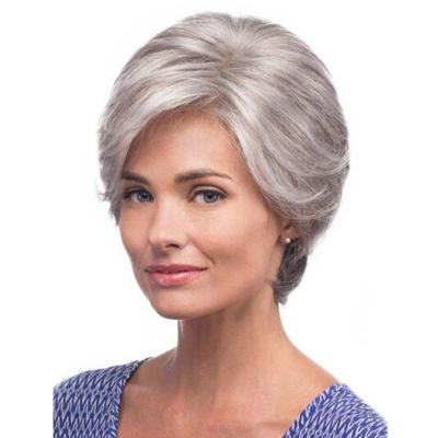 China New Fashionable Synthetic Wigs For Women Silver Gray Short Curly Heat Resistant Fiber Wig for sale