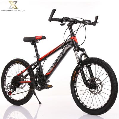 China Steel Adult Mountain Bike 24