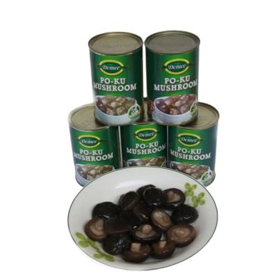 China Fresh canned shiitake mushroom in brine pickled shiitake mushroom for sale