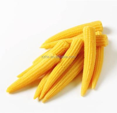 China Canned Products HALAL Baby Corn Processing Canned Baby Corn In Glass Jars Canned Vegetable for sale