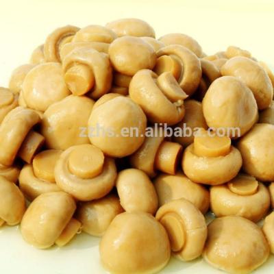 China Whole Canned Mushroom In Brine In Plastic Drums Canned Foods Button Mushroom In Brine for sale