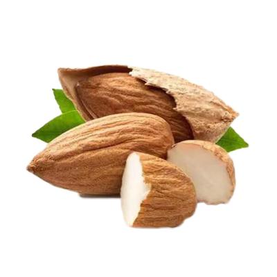 China Healthy and Nutritious Almond Supplier Dry Almond Factory Natural Organic Nut Grades Delicious Almonds for sale