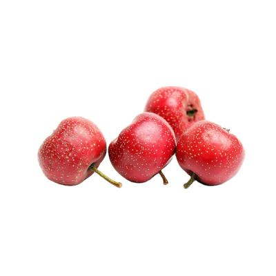 China Good Taste Good Picking Fresh Natural Original Red Organic Hawthorn Fruit Fresh Hawthorn Berry for sale