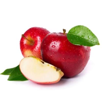 China Fresh Newcomer Freshly Picked Common Type Fresh Fruit Apples Red Apple Grade 1 Culture Fruit for sale