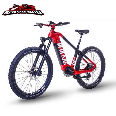 China HOT SALE carbon fiber IN FRANCE electric bicycle motor electric bike bicycle bicycle for sale