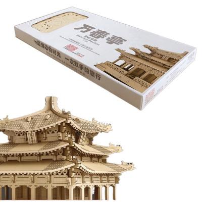 China Environmental Friendly Non-toxic / Unique 3D Puzzle Shapes Wooden Diy Model Kit for sale