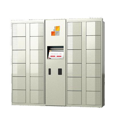 China Automatic YS Locker Barcode Scanner Storage Waterpark Locker YS Locker for sale