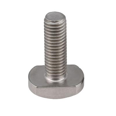 China fastener M10 304 Stainless Steel T Slot Bolts , 20-60mm t shaped bolts for sale