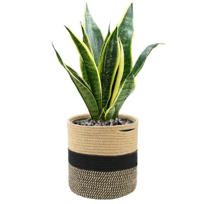 China Modern Woven Jute Rope Plant Basket Storage Basket Jute Plant Basket for Indoor Floor Planter Rope Basket Plant for sale