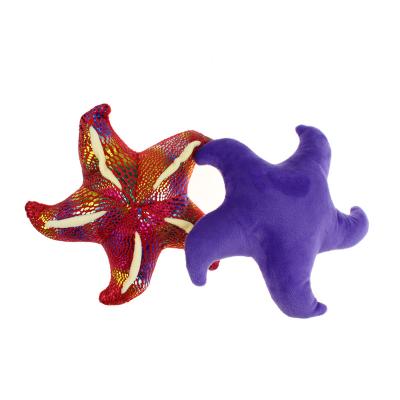 China Custom Funny Soft Stuffed Animal Ocean Starfish Soft Plush Pillow Comfortable Soft Pillow For Kids Girlfriends for sale