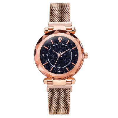 China WJ-8656 New Style Purple Stainless Steel Watch Band Alloy Case 5 Colors Magnetic Strap Analog Quartz  Watch for sale