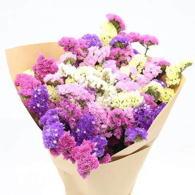 China forget i not wedding flowers decoration dried preserved flowers forget me not flowers for sale