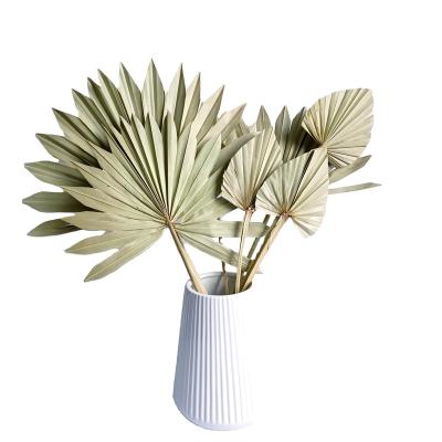 China Popular table centerpiece other decorative flowers and plants cake decorating supplies gift set flower wall palm spear sun palm for sale