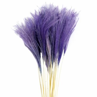 China Beautiful Colorful Most Popular Small Ins Decor Dried Pampas Grass Pink Dried Pampas Reed Fluffy Horse Tail Grass For Home and Weeding for sale