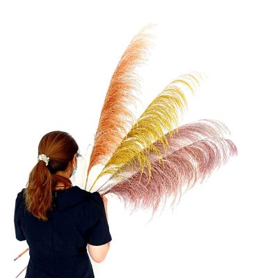 China Designs Amazon Pampas Grass Bouquet Dried Flower Feather Pampas Decorative Flowers Pampas de Pampas For Home Decoration Christmas Valentine Custom for sale