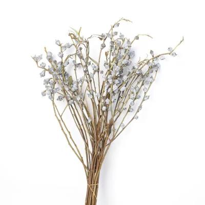 China Hot Sale Wholesale Dried Flowers Dried Flowers Dried Eucalyptus Fruit For Home Decoration Or Party Gift for sale