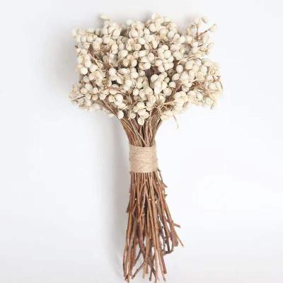 China Dried Flowers 2022 Hot Selling Dried Flowers Excoecaria Sebifera Sebifera For Decorative Wedding Or Gifts for sale