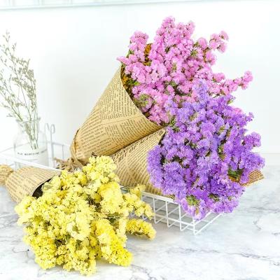 China Dried and preserved decorative wholesale fresh flower Yunnan flower decorative preserved forget-me-not decorations for wedding for sale