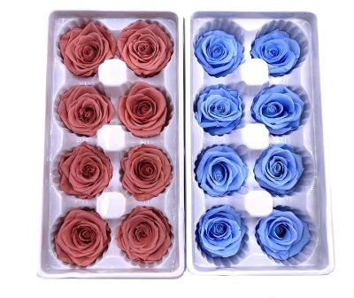 China Real Hot Selling Preserved A Grade Romantic Amazon Rose Preserved Flowers Preserved Rose 4-5cm Rose Head 8pcs For Valentine's Day Gift for sale