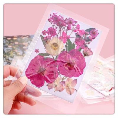 China Wholesale Diy Cheap Party Mixed Dried Pressed Dry Grass Flower Openers Art Natura Real Dried Pressed Flowers For Sale for sale