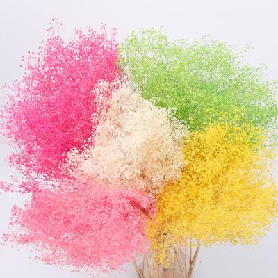 China Star the wedding decoration wholesale million success gypsophila flower Amazon wedding decoration babies romantic gorgeous breath flowers home wedding for sale