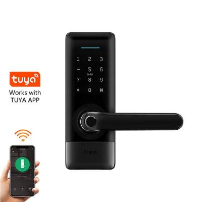 China Bluetooth+WiFi+Fingerprint+Card+Password+Mechanical Keyless Keys BLE WIFI APP Digital Fingerprint Electronic Magnetic Biometric Door Lock for sale