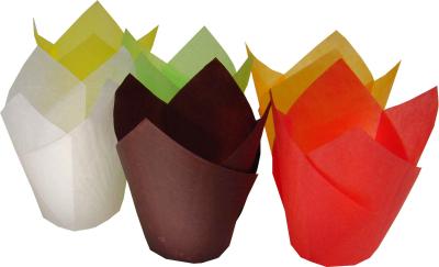 China solid color cake tulip cup for sale