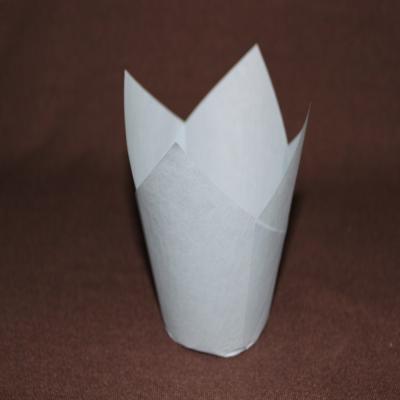 China Pure white  tulip cup Suppliers for sale