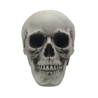 China Festival Artificial Skeleton Party Ornament Horror Skull Bone Scary Model Head Resin Halloween Skull Decoration Home Teaching for sale