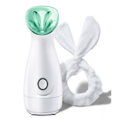 China Hot PSB Nano Ionic Face Spa Home Use Home Use Mist Humidifier Vaporizer DEEP CLEANSING Steam Facial Machine for sale