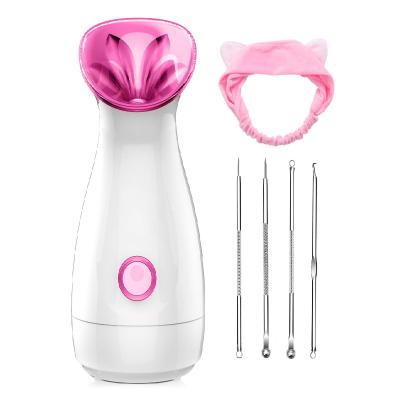 China Hot Nano Ion Face Spa PSB Mist Humidifier Steamer Dropshipping Facial Kit for sale