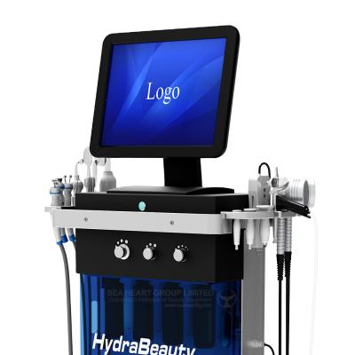 China 2021 Beauty Salon professional facial hydradermabrasion machine 10 in 1 diamond peel hydra equipment hydro dermabrasion Machine for sale