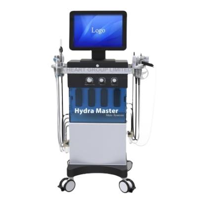 Chine 2021 hot sale professional facial hydra dermabrasion machine 10 in 1 face care hydra equipment hydrodermabrasion Machine à vendre