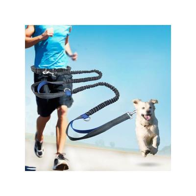 China 2 Hand Grip Free Reflective Explosion Proof Bungee Dog Hot Selling Running Walking Leash With Adjustable Restraint Belt for sale