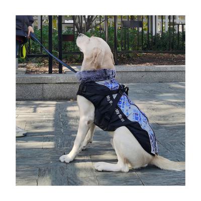 China Custom Stocked Designer Waterproof Sportswear Heated Dog Cape Style Winter Coats And Jackets for sale