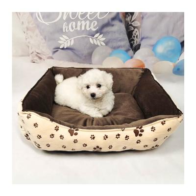 China New Arrival Dog Paw Indoor Living Room Pet Viable Nest For Small Medium Sleeping Cat Beds,Winter Warm Nest Washable Dog Sofa Bed for sale