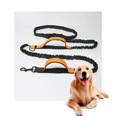 China Thoughtful Luxury Designer Custom Hands Free Bungee Restraint Belt Training All Reasons Portable Leash For Dogs for sale