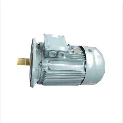 China 3 Phase Industry Electric Motor 55 Kw 90kw 132 Kw Ac Induction Motor for sale