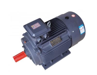 China Explosion Proof High-Voltage Variable Frequency Speed Three-Phase Asynchronous Motor for sale