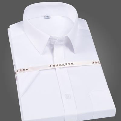 China Anti-pilling in white men's shirt common men's long-sleeved thin cotton shirt that does not require ironing business for sale