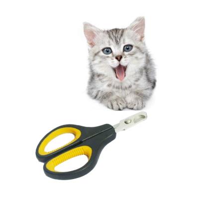 China Viable Pet Accessories Pet Supplies Cat Grooming Tools Kit Brush Comb and Nail Set for sale