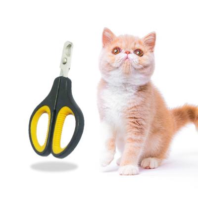 China Viable Pet Cat Grooming Tools Kit Brush Comb and Yellow Dog Cat Grooming Scissors Nail Set Kit for sale