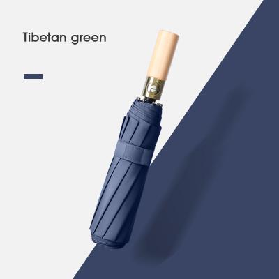 China Special Customized High Quality Custom Printing Pantone Color Logo Auto Open Close POE Transparent Folding Umbrella for sale