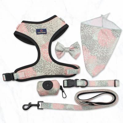 China Manufacturer DETACHED 6 Piece Design Dog Bandana Bow Tie Poop Bag Luxury Dog Harness Dog Collar Leash Set for sale