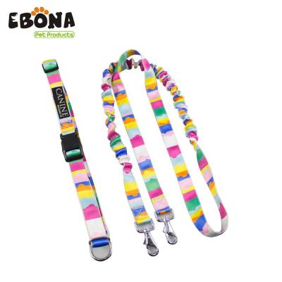 China DETACHED Pet Products 4ft Latest Fashion Designed Luxury Best Quality 2019 Advance Dog Pet Leash And Collar Set for sale