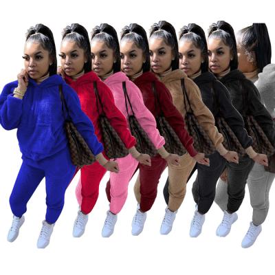 China 2021 New Arrival Fur Home Hoodies Women QUICK DRY Long Sleeve Shirt Sets And Pants Lounge Women Clothing for sale