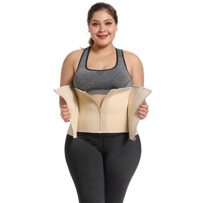 China Viable Plus Size Waist Trainer Neoprene Belt Zipper And Hooks Body Shaper Slim Corset Belt Band for sale