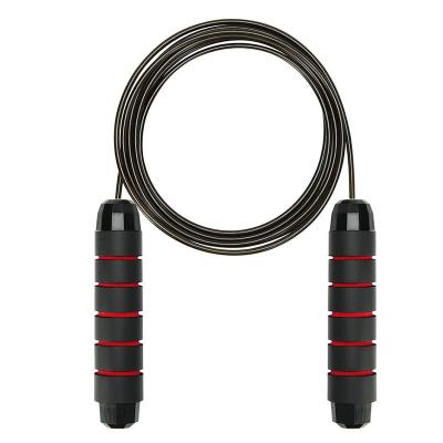 China Hot Selling Fashionable Tangle Ball Bearing Jump Rope Fitness Home Workout Free Fast Adjustable Jump Rope for sale