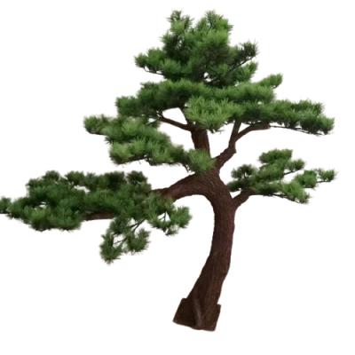 China Large Modern Customized Artificial Pine Trees For Decoration for sale